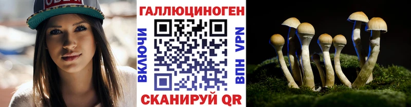 Псилоцибиновые грибы мицелий  купить наркотик  Усолье-Сибирское 
